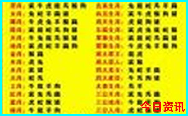 2025年热门话题天天全新收藏彩解读资料官方推荐-2025最新免费资料大全